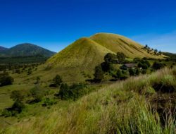 Jelajah Bukit Jabal Kirmit, Pesona Savana Hijau di Bondowoso