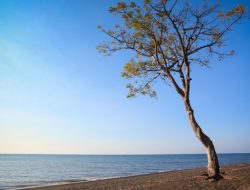 Pantai Banongan Situbondo, Eksotisme Pasir Hitam di Pesisir Timur
