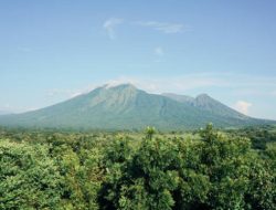 Pesona Taman Nasional Baluran, Keindahan “Africa van Java”