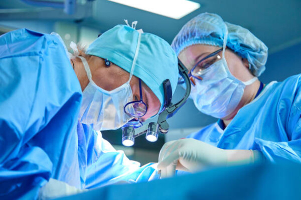 Stent Endovaskular