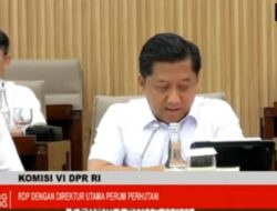 Perhutani Dorong Transisi Energi Lewat Biomassa dan Hutan Energi