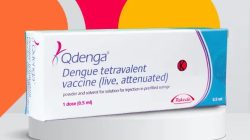 Vaksin DBD Kini Bisa untuk Semua, Qdenga Akses Lebih Luas!