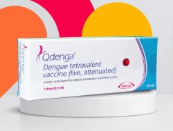 Vaksin DBD Kini Bisa untuk Semua, Qdenga Akses Lebih Luas!
