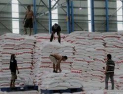 Petani Tebu Jatim Lega, Akhirnya DANANTARA Pastikan Serap Gula Lewat ID Food & SGN