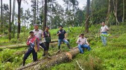 Perhutani KPH Bondowoso Cek Sarana Produksi Demi Optimalisasi Kayu dan Getah Pinus 2026