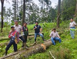 Perhutani KPH Bondowoso Cek Sarana Produksi Demi Optimalisasi Kayu dan Getah Pinus 2026