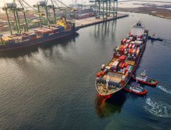The Growing Importance of Logistics and Courier Services in Modern Business